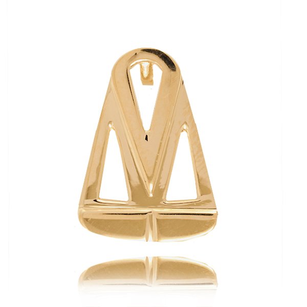 ZIV-WAGA — zdjęcie 1