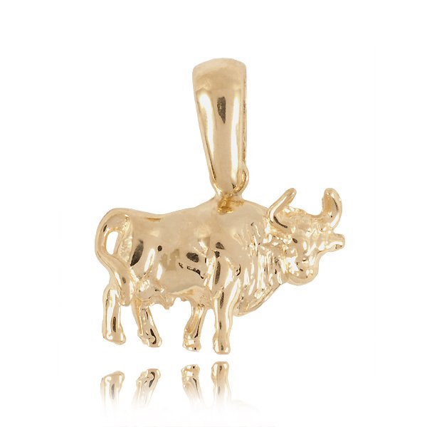 ZIII-BYK — zdjęcie 1