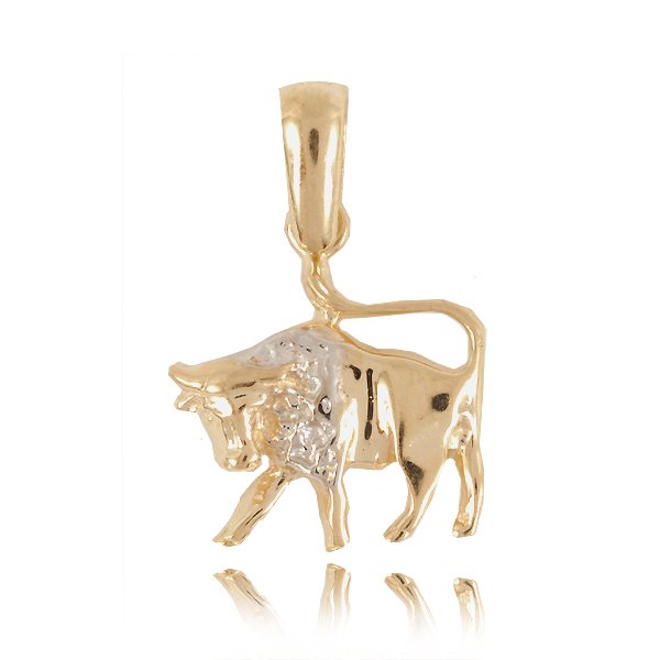 ZII-BYK — zdjęcie 1