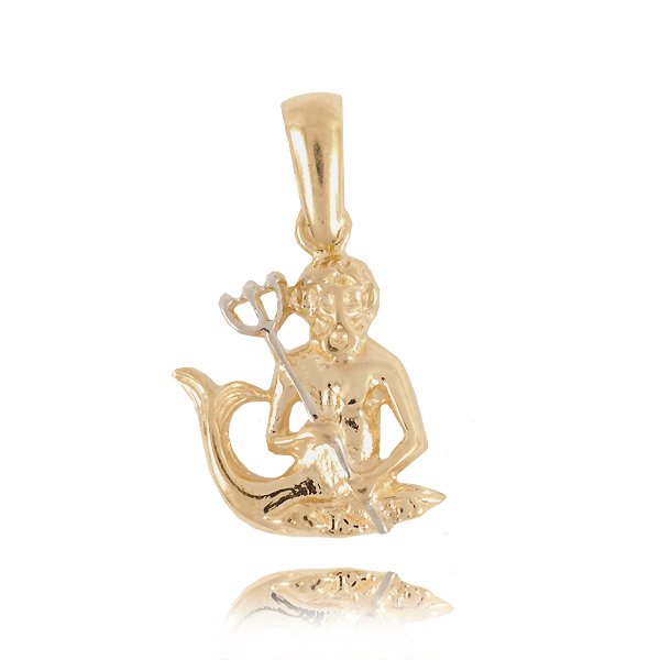 ZII-WODNIK — zdjęcie 1