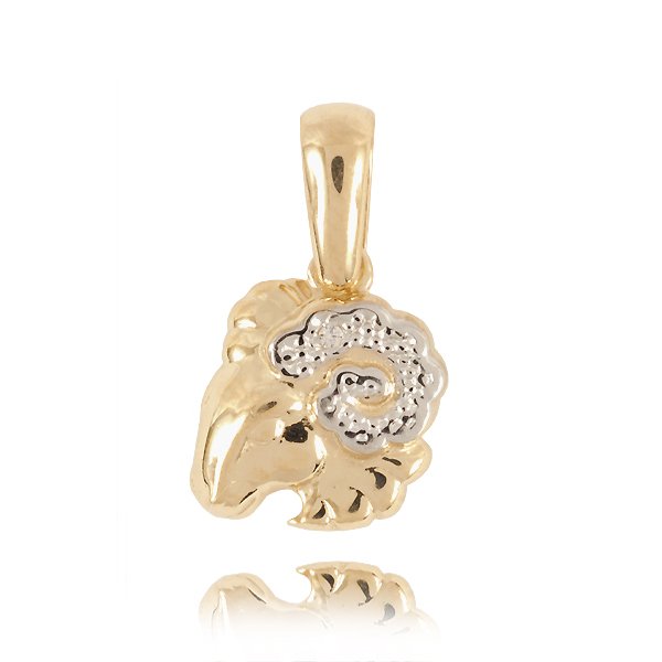 ZI-BARAN — zdjęcie 1