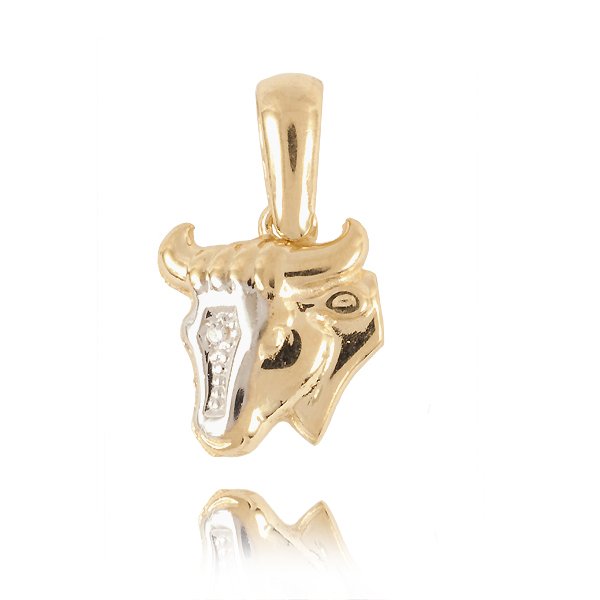 ZI-BYK — zdjęcie 1