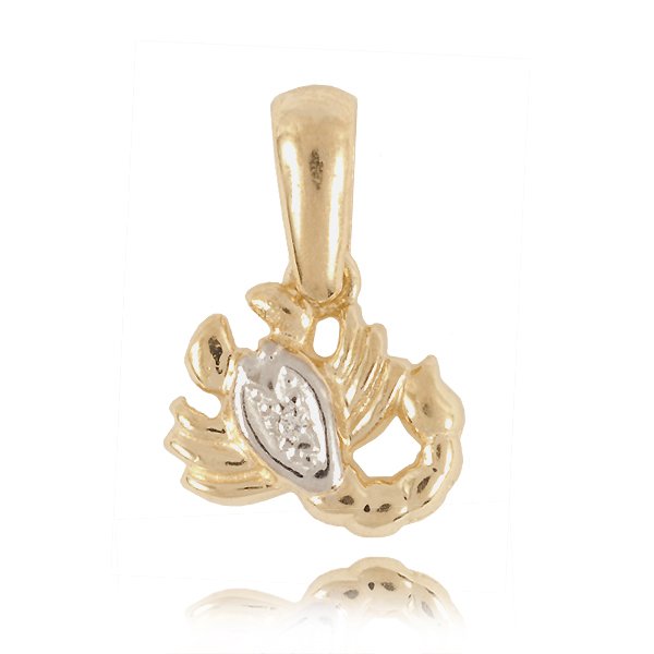 ZI-SKORPION — zdjęcie 1