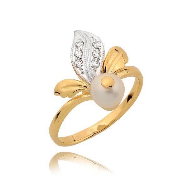 N 0096 — zdjęcie 1