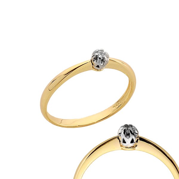 PB 0163 — zdjęcie 1